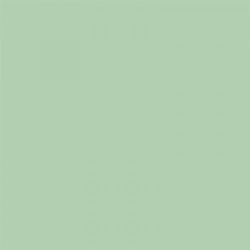 Carton de couleur vert clair A4 170 g 50 feuilles - Apli