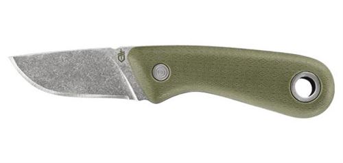 Gerber - ge003425 - vertebrae compact