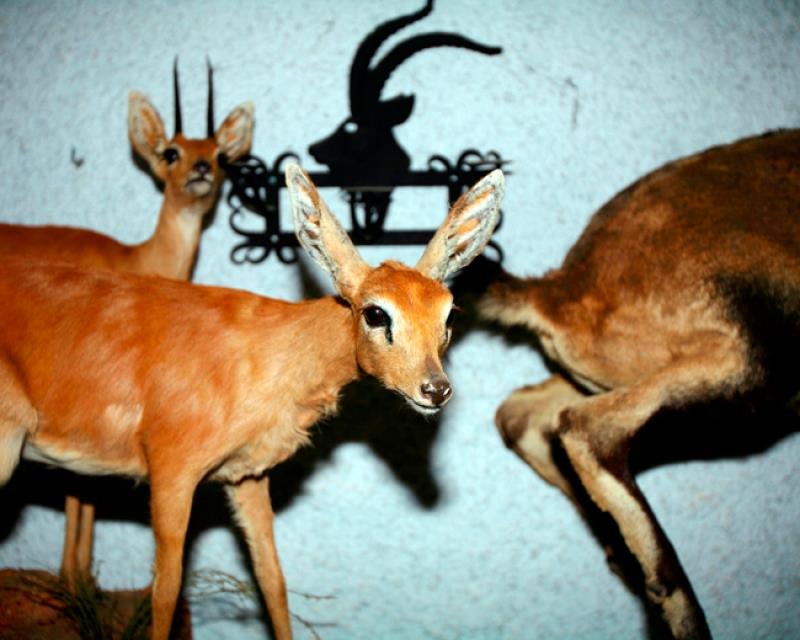 Ricardo Cases, Nuevo Talento Fnac de Fotografía 2007