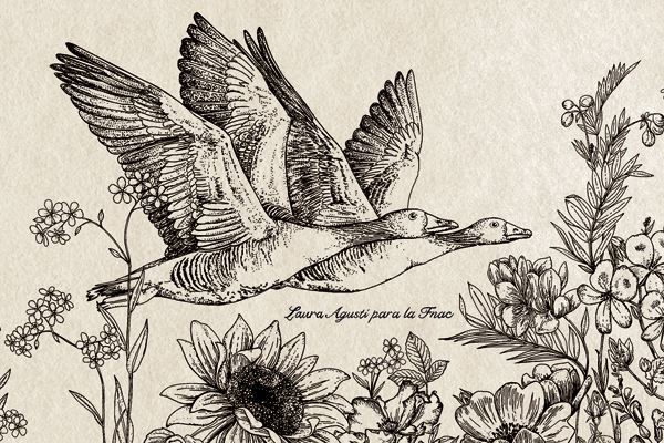 laura_agusti_detalle