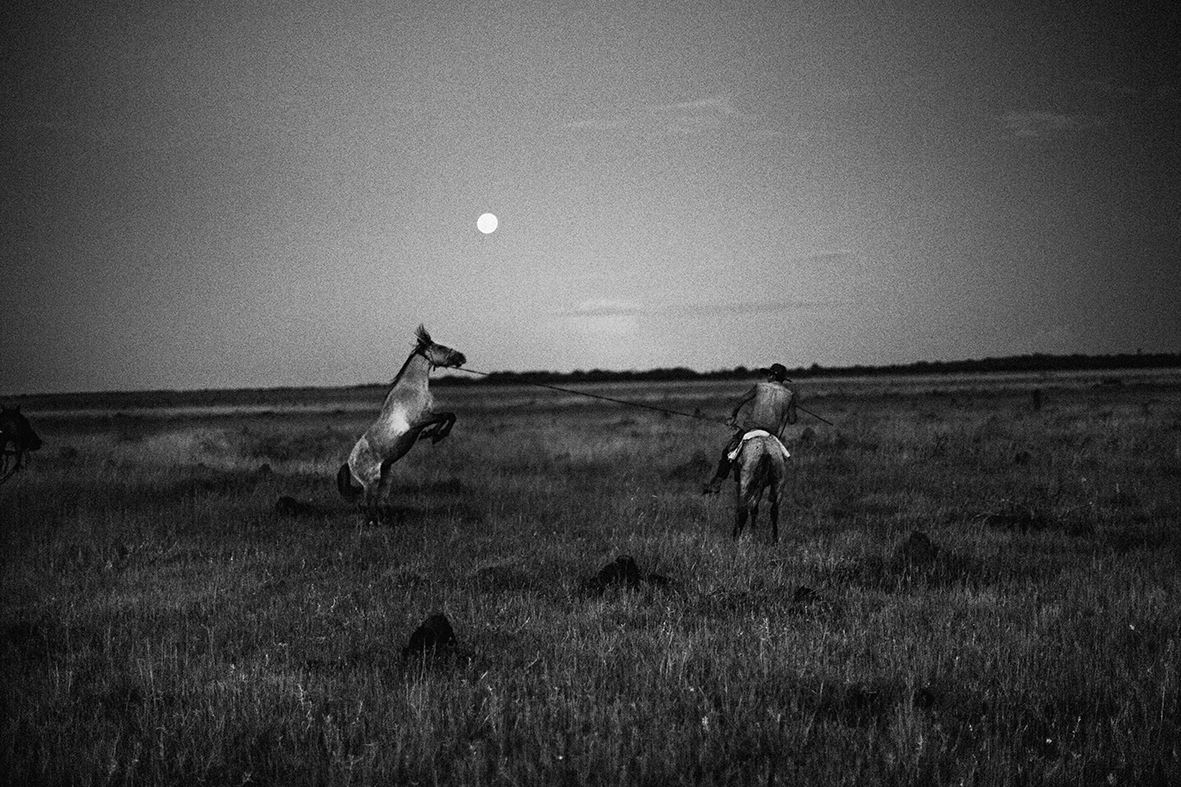 Llano, fotografías de Juanita Escobar