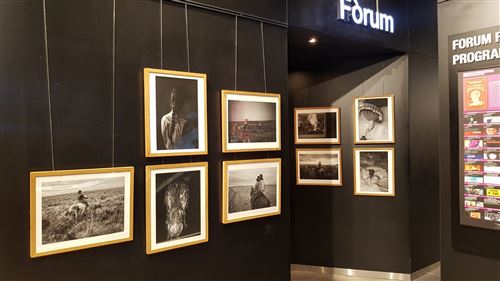 Llano, de Juanita Escobar