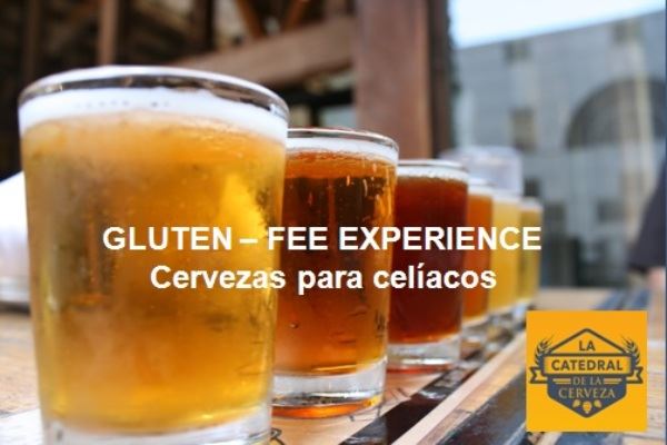 Gluten Free Experience