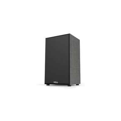 Enceintes Bibliothèque Wiibo String 10 - 100 W, Son Riche Et Nuancé, Pour Système Stéréo Ou Surround, Design élégant Noir