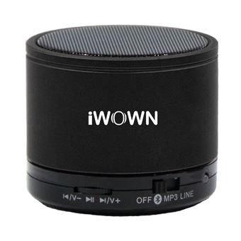 Altavoz Iwown SPK.2 Radio Bluethooth