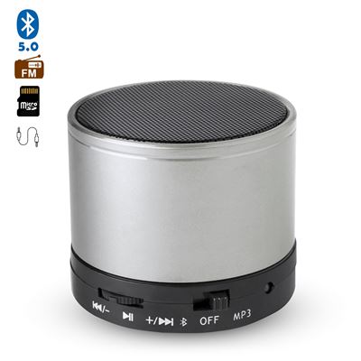 Tekkiwear Dam Altavoz Compacto Martins Bluetooth 3.0 De 3W, Con Manos Libres Y Radio Fm. Dam Plata