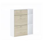 Zapatero WIND color estructura Blanco color Puccini en las 2 puertas basculantes y el cajón 90x26x101.5cm