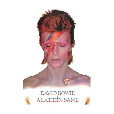 Poster David Bowie Aladdin Sane