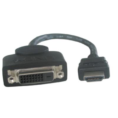 Lindy Adaptador Dvi-D Fm/Hdmi M Adapter Cable, 0.2M