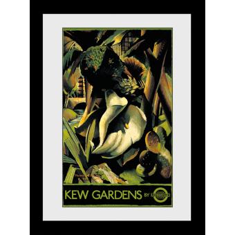 Fotografia enmarcada Transport For London Kew Gardens 60x80cm