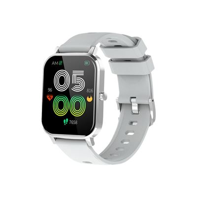 Smartwatch Denver Electronics Sw-181 Gris 1,7