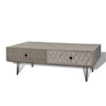 Mesa de centro vidaXL, 100x60x35 cm gris