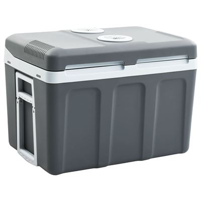 Nevera Termoeléctrica Portátil Vidaxl 45 L 12 V 230 V A ++