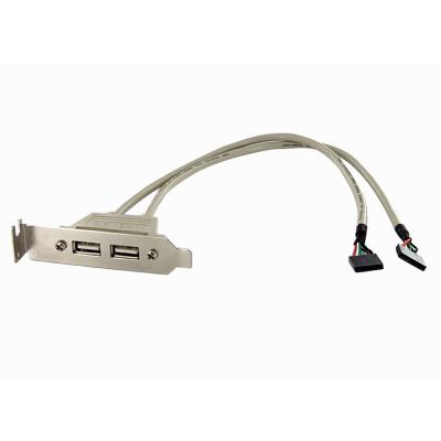 Startech Bracket 2 Puertos Usb 2.0 A 2X