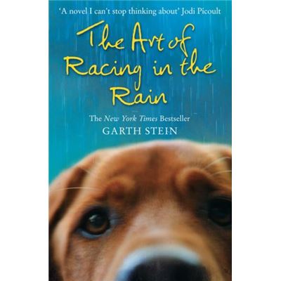 Harpercollins Publishers The Art Of Racing In The Rain