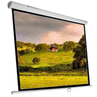 Phoenix Technologies Phpantalla-240 Pantalla de Proyección - 1