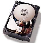 Disco duro interno IBM 1TB SATA 3.5""