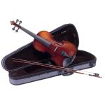 Violin vs1 1/2