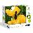 Juguete interactivo Pluto_0