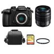 Panasonic DMC-GH5 Negro KIT 12-60mm F3.5-5.6 ASPH O.I.S Negro + SD 64Go + Bolsa + HOYA UX UV 58mm Filter