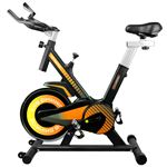 Bicicleta spinning Bike Pro Indoor Ed. VIDA. Volante de Inercia 10 kg.