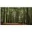 Pack Experiencia Rusticae, Bosques Encantados_2
