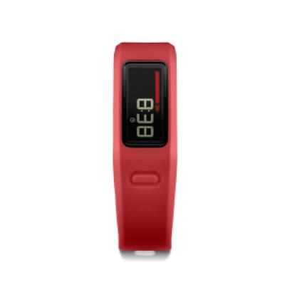 Garmin Vívofit