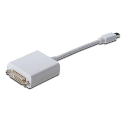 Assmann Electronic Mini Dp - Dvi-D, 0.15M - Cables De Audio Y Video