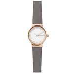 Reloj Skagen Mujer SKW2669