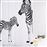 Cortina de ducha Ridder, Zebra tela 180x200 cm 42311_1