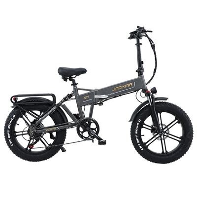 Bicicletas Electricas Adulto RIDFNE Bicicleta Elu00e9ctrica