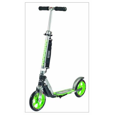 Hudora 14695 Patinete Big Wheel GS 205, verde / gris