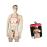 Delantal Sexy Hombre con Pene_0
