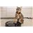 Aspirador robot inteligente 3 en 1 Blaupunkt Bluebot XSMART BPK-VCBB1XS_7