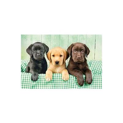 Clementoni Puzzle Los Tres Labradores 1000Pzs - Imagen 3