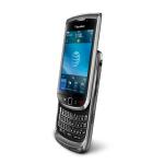 BlackBerry Torch 9800 0.5GB Negro