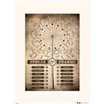 Lamina 30X40Cm Harry Potter Spells And Charms