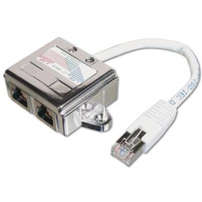 Assmann Electronic At-Ag Cx2 - Cables De Red