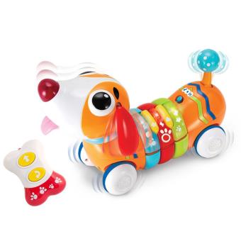 Perrito arcoiris radio control
