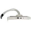 Placa de conexión BeMatik FireWire 400 IEEE 1394 de 4 pines y 6 pines hembra