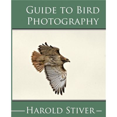 Guide to Photographing Birds Paperback