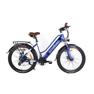 Bicicleta Eléctrica CITYBIKE E-CITYBLU