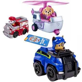 ches de paw patrol