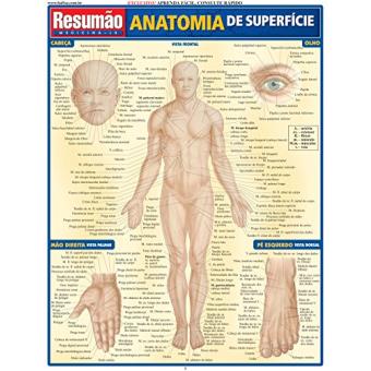 Anatomia Superficial - 1