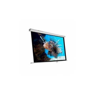Pantalla De Proyección Phoenix Technologies Pantalla 300m