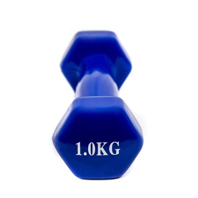 GE Mancuernas de 1 Kg antiresbalantes azul