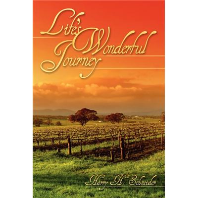 Lifes Wonderful Journey Paperback