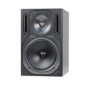 Monitor Truth B2031a Pareja - 1