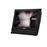 Aio MSI - Pro- 16T- 7M- 023Xeu_0