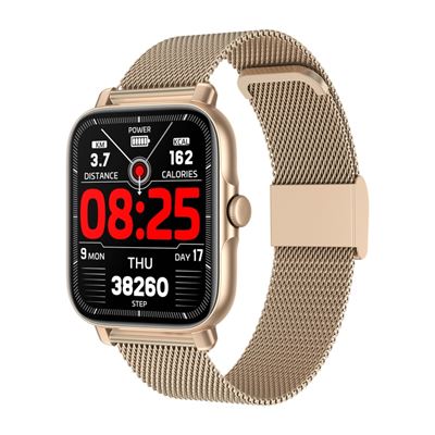 Smartwatch Gt30 1.69"" Tft Acero Bnad Ip67 Oro